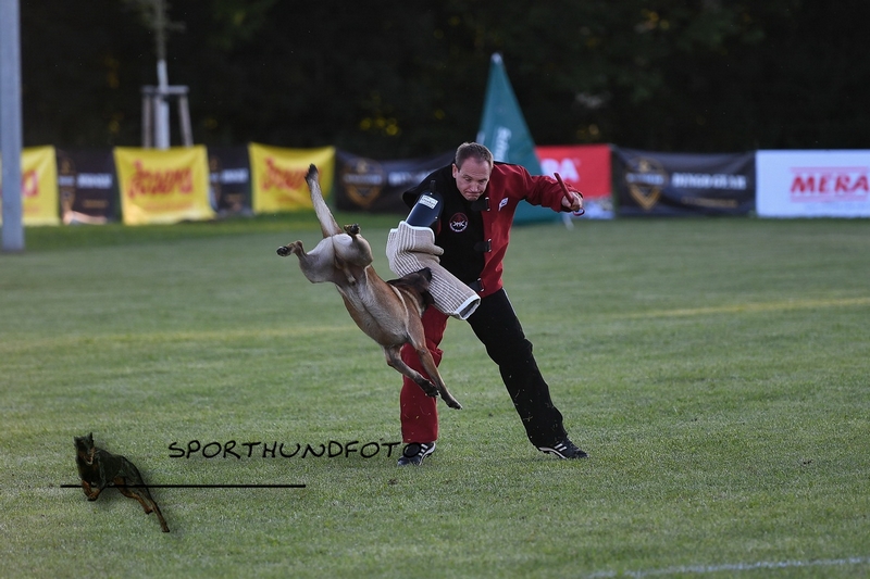 Impressionen 479.jpg